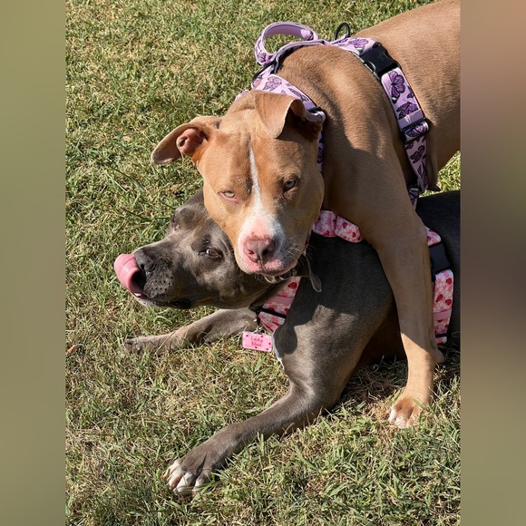 Meet me! ๐๐ผ๐ - Picture 10 of 16